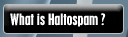 What is Haltospam ?